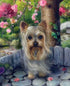Cute Yorkshire Terrier Diamond Painting